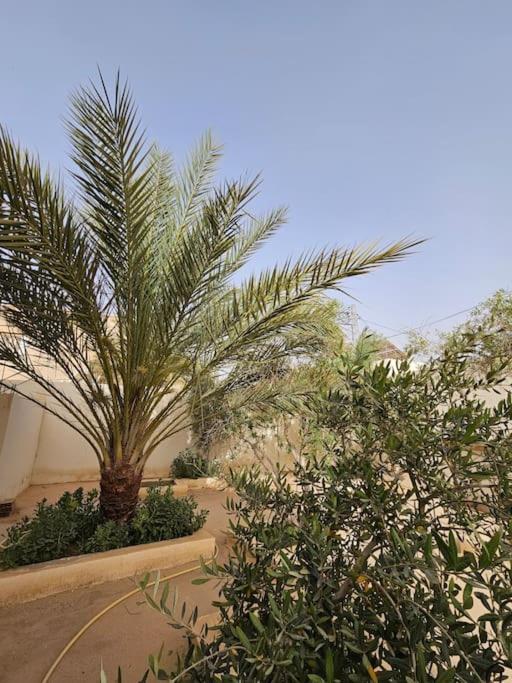 Hadhri Appartement Tozeur Buitenkant foto